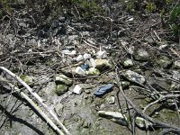 HaverstrawCleanup14- web